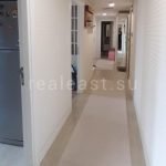 Spacious apartment in Istanbul: luxury by the bay and Miniature