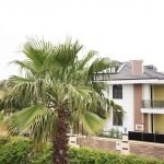 Şila’da Villa: Karadeniz’in yanında tenha bir cennet
