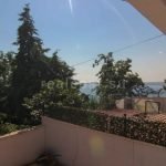 Villa by the sea in Istanbul: comfort and natural beauty in Beylikduzu