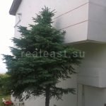 Live by the sea: Villa in Beylikduzu