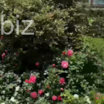 Apartment 2+1, 140m2 from the owner in Beylikduzu, Istanbul. No.2798