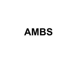 AMBS Real Estate Development