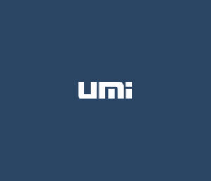 Umi Insaat
