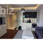 Beyoğlu’nda Kalabalık Bir Daire (İlan No: 10102)