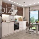 Charming 2+1 Apartment in Istanbul (Listing No: 10103)