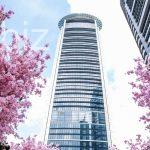 Spacious Apartment in the Heart of Üsküdar, Istanbul (Listing No: 4397)