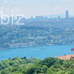 Luxury Apartment with Stunning Bosphorus View in Beşiktaş (Listing No: 4562)