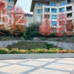 Luxurious Apartment in Prestigious Sarıyer, Istanbul (Listing No: 4908)