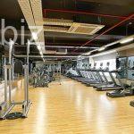Modern Apartment in the Heart of Istanbul (Listing No: 5097)
