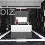 Modern Apartment in the Heart of Istanbul (Listing No: 5287)