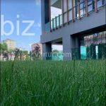 Luxury Apartments in Central Istanbul (Listing No: 5296)