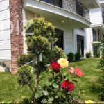 Spacious 3+1 Apartment in the Heart of Istanbul (Listing No: 6122)