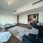Modern Apartment in the Heart of Istanbul (Listing No: 6893)