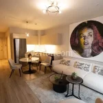 Modern Apartment in the Heart of Kâğıthane, Istanbul (Listing No: 7115)