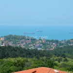 Роскошный пентхаус с потрясающим видом на море в Саирие №7433