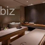 Luxury Apartment in the Heart of Istanbul (Listing No: 7930)