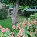 Seafront Apartments in Beykoz, Istanbul (Listing No: 8136)