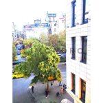 Beyoğlu’nda Kaliteli Daire (İlan No: 9379)
