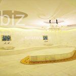 Luxury Apartments in Istanbul with Stunning Views (Listing No: 9391)