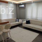 Charming 1+1 Apartment in Vibrant Istanbul (Listing No: 9481)