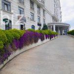 Charming 2+1 Apartment in the Heart of Istanbul (Listing No: 9832)